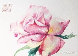 水彩视频教程初学者,初学者必看技巧解析